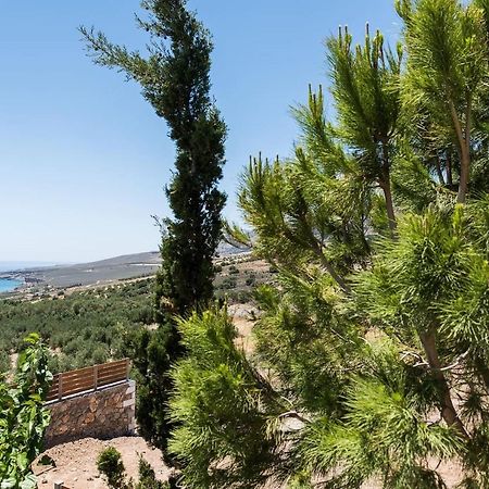 ספאקיה Villa Olvia מראה חיצוני תמונה