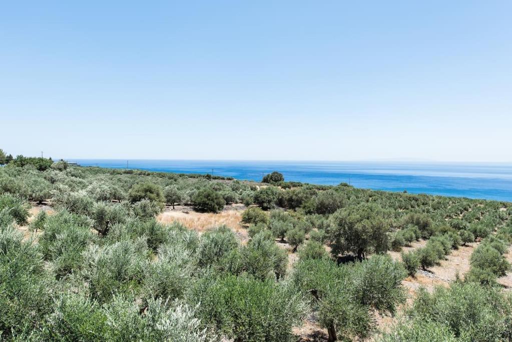 ספאקיה Villa Olvia מראה חיצוני תמונה
